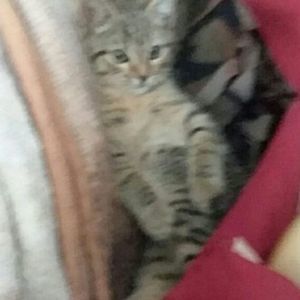 Meet your Posher, Joseph